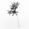 agapanthus-动植物-花草-VR/AR模型-3D城
