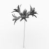 agapanthus-动植物-花草-VR/AR模型-3D城