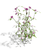 花-动植物-花草-VR/AR模型-3D城