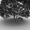 室外植物-动植物-植物-VR/AR模型-3D城