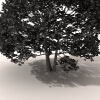 室外植物-动植物-植物-VR/AR模型-3D城