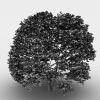 室外植物-动植物-植物-VR/AR模型-3D城