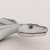 蛇-动植物-爬行动物-VR/AR模型-3D城