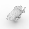 蓝鳃鱼-动植物-鱼类-VR/AR模型-3D城