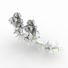 spirea-动植物-花草-VR/AR模型-3D城