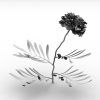 花-动植物-花草-VR/AR模型-3D城