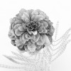 花-动植物-花草-VR/AR模型-3D城