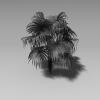 植物草裙椰子-动植物-植物-VR/AR模型-3D城