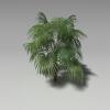 植物草裙椰子-动植物-植物-VR/AR模型-3D城