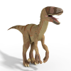 Dromaeosaurus-动植物-古生物-VR/AR模型-3D城