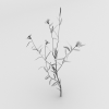 花-动植物-花草-VR/AR模型-3D城