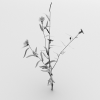 花-动植物-花草-VR/AR模型-3D城