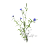 花-动植物-花草-VR/AR模型-3D城