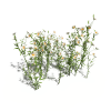 花-动植物-花草-VR/AR模型-3D城