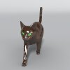 猫咪-动植物-哺乳动物-VR/AR模型-3D城