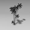 棕榈-动植物-植物-VR/AR模型-3D城