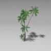 棕榈-动植物-植物-VR/AR模型-3D城