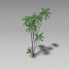 棕榈-动植物-植物-VR/AR模型-3D城