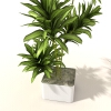 盆景-动植物-盆栽-VR/AR模型-3D城