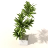 盆景-动植物-盆栽-VR/AR模型-3D城