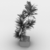 盆景-动植物-盆栽-VR/AR模型-3D城