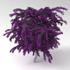 室外植物-动植物-植物-VR/AR模型-3D城