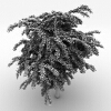 室外植物-动植物-植物-VR/AR模型-3D城