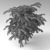 室外植物-动植物-植物-VR/AR模型-3D城