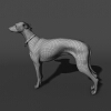 杜宾犬-动植物-哺乳动物-VR/AR模型-3D城
