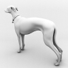 杜宾犬-动植物-哺乳动物-VR/AR模型-3D城