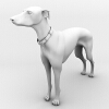 杜宾犬-动植物-哺乳动物-VR/AR模型-3D城