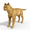 Cat-动植物-哺乳动物-VR/AR模型-3D城