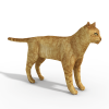 Cat-动植物-哺乳动物-VR/AR模型-3D城