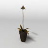 盆景-动植物-盆栽-VR/AR模型-3D城