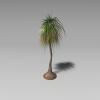 棕榈-动植物-植物-VR/AR模型-3D城
