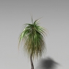 龙舌兰-动植物-植物-VR/AR模型-3D城