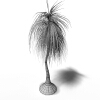 龙舌兰-动植物-植物-VR/AR模型-3D城