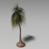 龙舌兰-动植物-植物-VR/AR模型-3D城