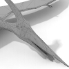 翼手龙-动植物-古生物-VR/AR模型-3D城