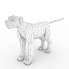 母狮狮子-角色人体-角色-VR/AR模型-3D城