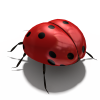 甲克虫-动植物-昆虫-VR/AR模型-3D城