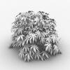植物-动植物-植物-VR/AR模型-3D城