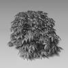 植物-动植物-植物-VR/AR模型-3D城