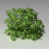 植物-动植物-植物-VR/AR模型-3D城