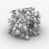植物-动植物-植物-VR/AR模型-3D城