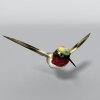 小鸟-动植物-鸟类-VR/AR模型-3D城