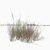 20115205620484-动植物-花草-VR/AR模型-3D城