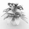 马蹄莲-动植物-盆栽-VR/AR模型-3D城