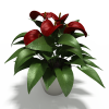 马蹄莲-动植物-盆栽-VR/AR模型-3D城