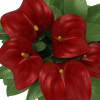 马蹄莲-动植物-盆栽-VR/AR模型-3D城